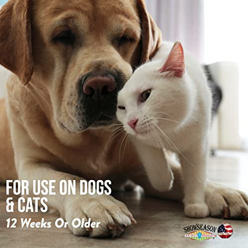 Show Season Animal Products 1 Clean Shampoo For Dogs And Cats With Great Long Lasting Scent 16 Oz. | Cruelty-Free | Paraben-Free | Biodegradable And Non-Toxic | Made In Usa #TOP6