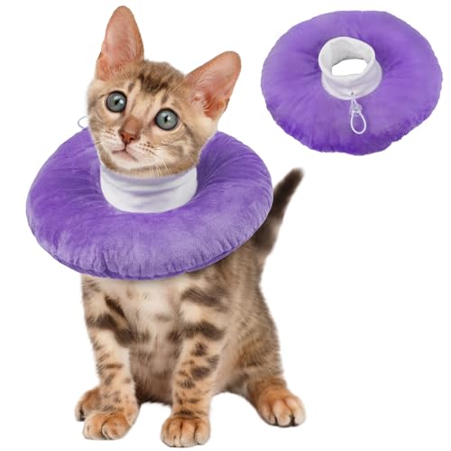 Collare Elisabettiano Gatto Piccolo, Collare Protettivo Gatto per Recupero Post Operatorio Collare Anti Morso Ciambella Gatti Post Intervento Elisabettiano Collare Protettivo Cono Gatti(Viola, S)