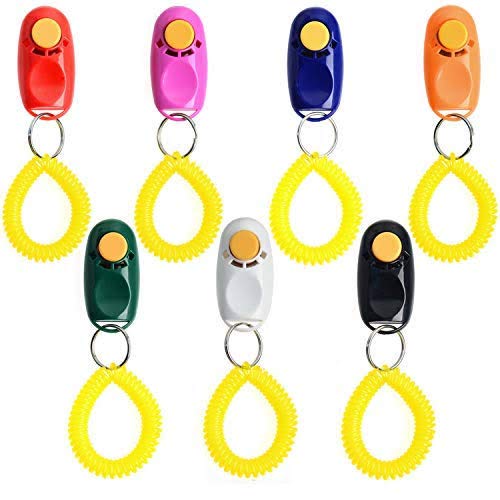 Petlicious & More Pet Dog/Cat/Kitten/Puppy Training Clicker with Wrist Strap (Color May Vary) 1