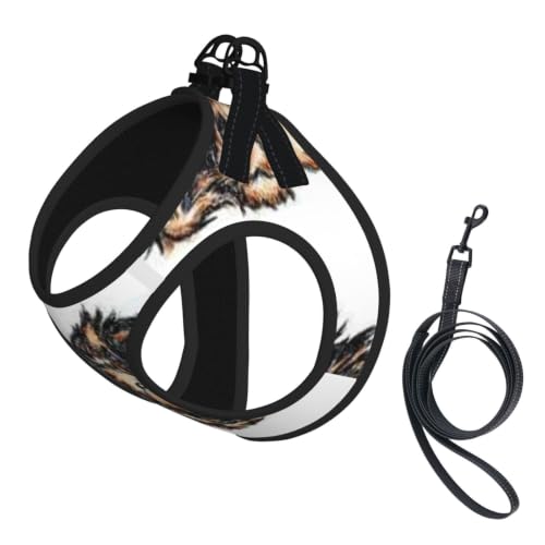 Puppies of Breed A Yorkshire Terrier Small Pet Harness,