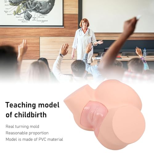 Modelo de demostración de simulador de nacimiento para entrenamiento avanzado de partería y educación de enfermería en obstetricia y ginecología
