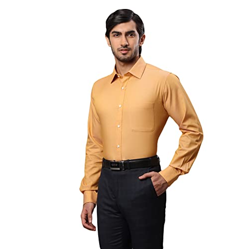 Image of Raymond Men's Solid Slim Fit Shirt