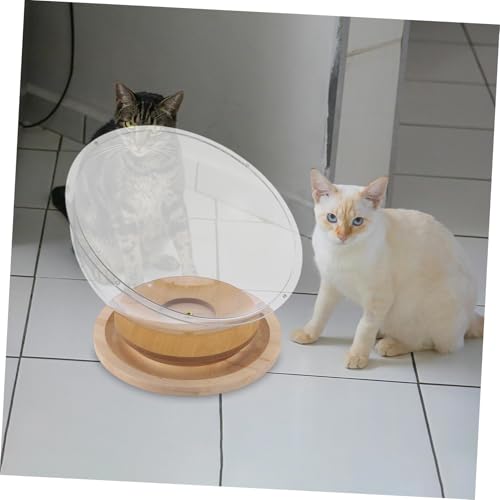 Lit transparent pour chat pour observer ses coussinets avec support compact - 6