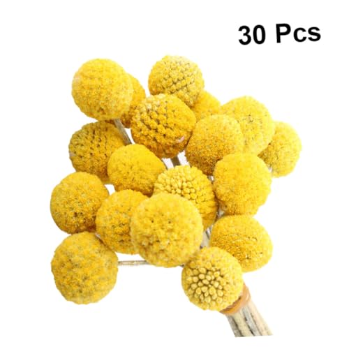 Alipis 30pcs Flores Secas Amarillas Craspedia miniatura 3
