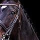 Imperial Riding Kandarenzaum IRHFria, Brown, XF/S