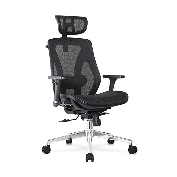 Cedric Ergonomic Office Chair with Lumbar Support，Breathable Mesh Desk Chair with Adjustable Headrest，3D Armrests， Tilt Function-EN1335 certification，CD-8015