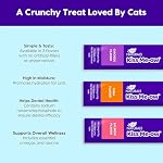 Ark Naturals Kiss Me-Ow Lickable Cat Dental Treats Variety Pack - Promotes Hydration, Dental & Overall Health - Chicken, Tuna & Salmon Flavors (2pk) - Image 4