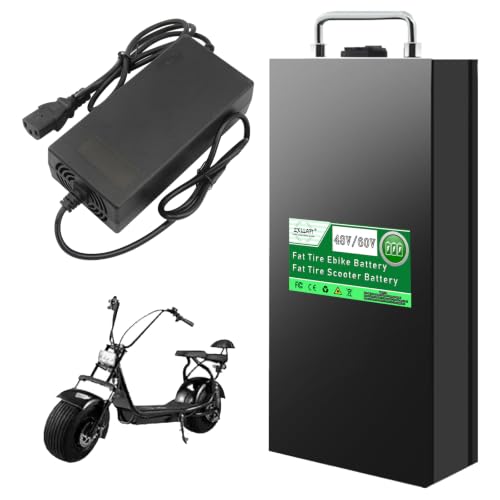 ZXLLAFT Batería de Litio 48V 60V Batería para Bicicleta eléctrica Fat Tire Baterías de Repuesto Baterías para Scooters Fat Tire Tablero protección BMS Integrado con Cargador,60v12ah