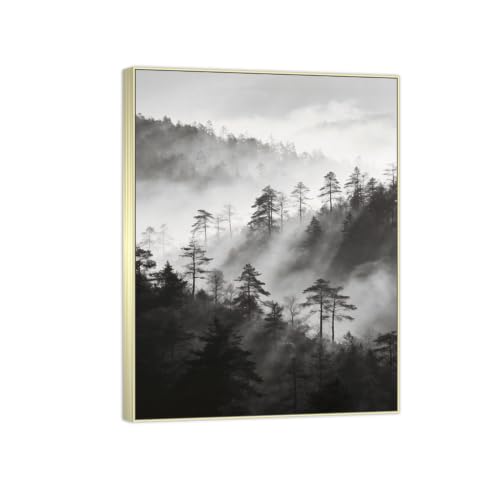 Tableau Toile Forêt Arbre Noir et Blanc 30x40cm Cadre Argenté pour Sublimer un Mur Nu