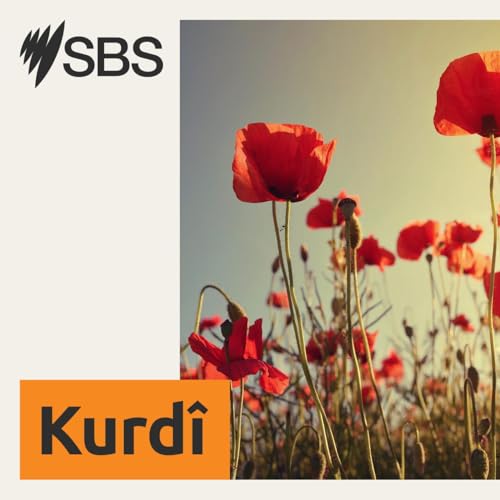 Bernameya SBS Kurd&icirc;: &ccedil;&icirc;rok, hevpeyv&icirc;n &ucirc; raport hene