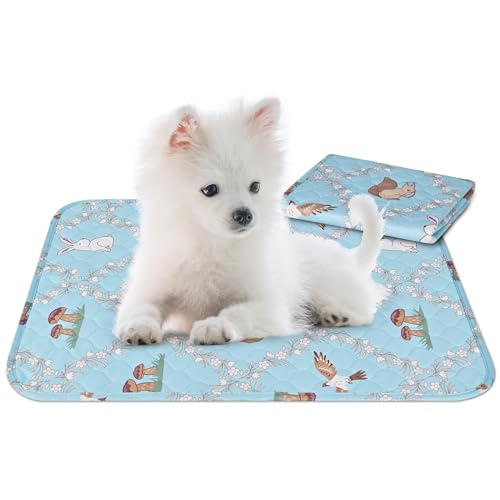 Image of Washable Pee Pads for Dogs, 18'' x 24'' Reusable Puppy Pads, Waterproof Pet Pads for Dog Cat, Absorbing Training Pads, Puppy Potty Pads with Waterproof Bottom (18 inch x 24 inch)