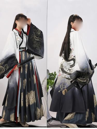 Hanfu traditionnel Weijin pour éviter les costumes de danse rigides