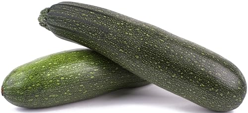 50 Black Beauty Zucchini Seeds for Planting Heirloom Non-GMO USA Grown Summer Squash (Cucurbita Pepo) by RDR Seeds