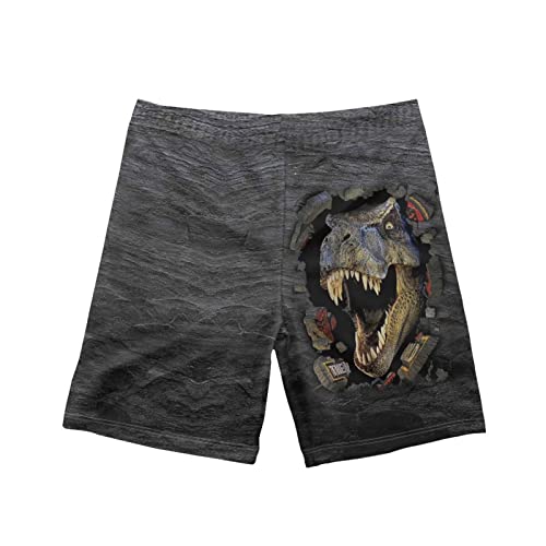 POLERO Bañadores de fútbol acuático para niños pequeños con Estampado 3D de fútbol, Dino, 11-12 Años Cover