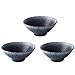 AERVEAL 2 Szt Ceramika Bowl Rice Bowl Chiński I Japoński Domowe Large Hat Ceramiczne Zastawy Stołowe, Put Kluski Ramen Dish, Mo Xue/3 Szt/23 * 9,5 Cm