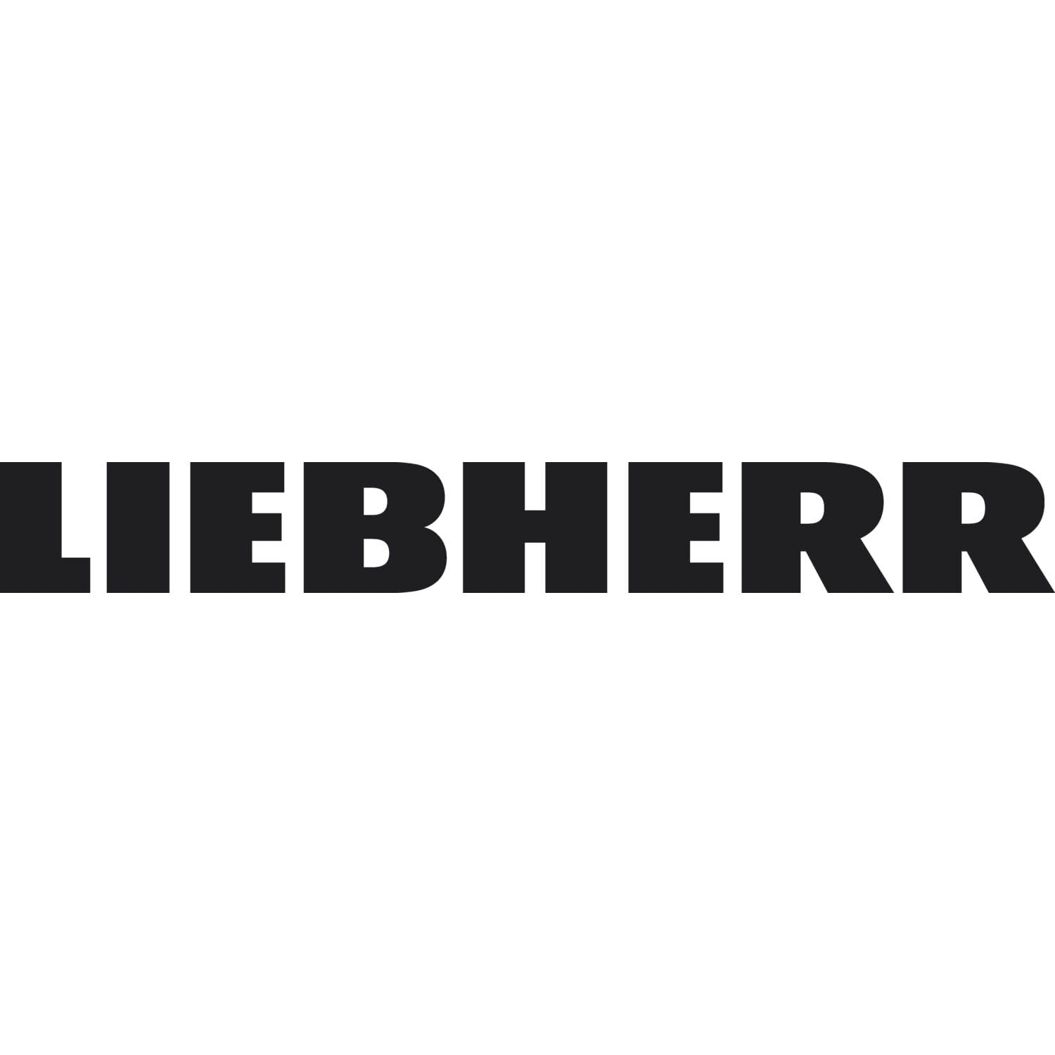 Liebherr Eierhalter für Kühlschrank - verstellbar Eierspänder Kühlschrank 20 Eier groß - 24 Eier klein, Kunststoff