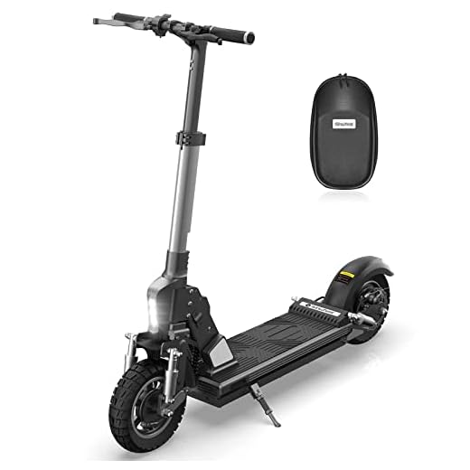 isinwheel X1 Electric Scooter, Peak Power 1000W E-Scooter, 10" Off-Road Tires, 24 Miles Range, 28 Mph Portable Folding Commuter Electric Scooter for Adults, Dual Suspension & Braking(Silver)