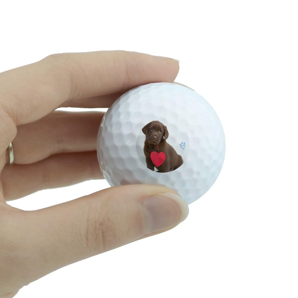 Puppy With Paper Heart Novelty Golf Balls 3 Pack