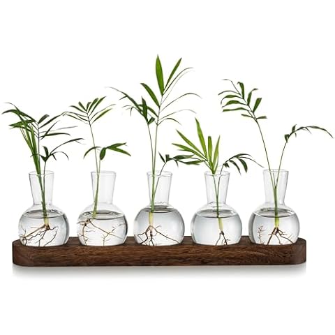 Glasseam Glass Plant Propagation Station Cover
