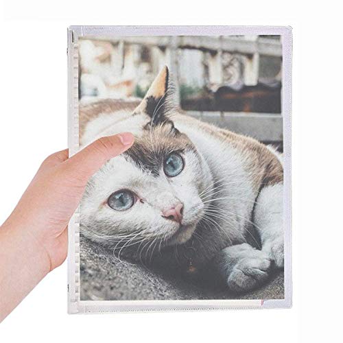 Carnet de photos en spirale chat coloré idée cadeau originale pour anniversaire et fête