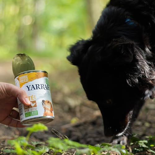 YARRAH Bio Hundefutter Pate Huhn, Spirulina, Seetang 400 g, 12er Pack (12 x 400 g)