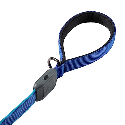 Nite Ize NiteDog Rechargeable LED Leash, USB Rechargeable 5 Foot Light Up Dog Leash w/Padded Handle, Blue - Image 3