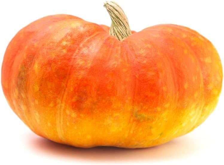 Semillas de calabaza para plantar (10 semillas) - Semillas de calabaza, calabaza y calabaza exóticas y difíciles de encontrar - Semillas de huerto
