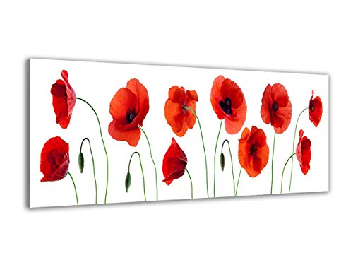 Hexoa Tableau coquelicots - Made in France - Toile imprimée - 120x50