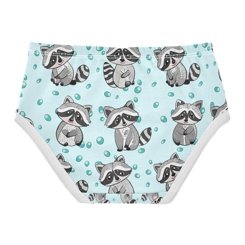 Cute Raccoons Toddler Girls's Underwear 2T 202c11272