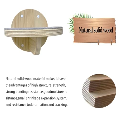 2 estantes para gato montables en pared de madera miniatura 3