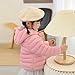 JELEUON Little Girls Boys Winter Warm Cartoon Zipper Hoodie Jacket Down Puffer Coat Outwear 80