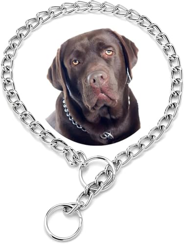Collares de cadena para perro, collar de metal plateado XXS para entrenamiento de eslabones deslizantes, collar de perro resistente Martingala para perros de raza XXS XS, S, S, M, L, grande, XL