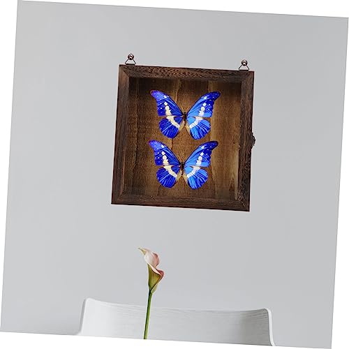 PRETYZOOM 4 Pçs Bancada De Madeira Mineral Cartão Postal Miniatura Transparente Recipiente De Borbol