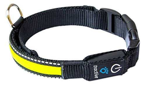 Tractive Colar de cão com LED