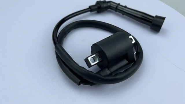 Amazon.com: Ignition Coil CDI BOX & Spark Plug for Yamaha