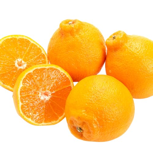 不知火 約5kg 秀品 L〜2Lサイズ 愛媛県 西予市