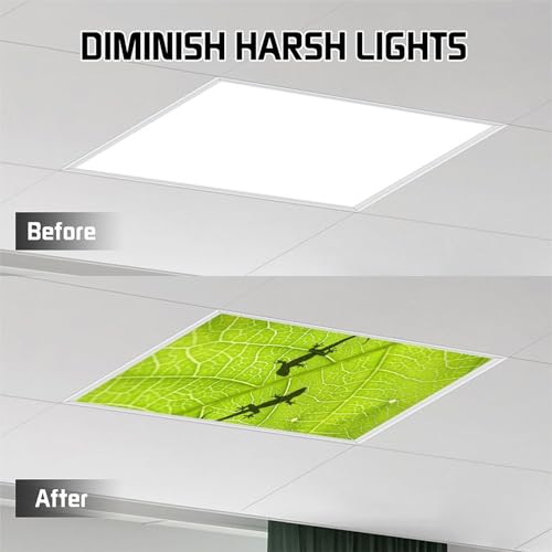 Image of 2Pcs Gecko Fluorescent Light Covers for Ceiling Lights Classroom, Magnetic Light Filters for Office, Hospitals, Home 4 X 2 Feet