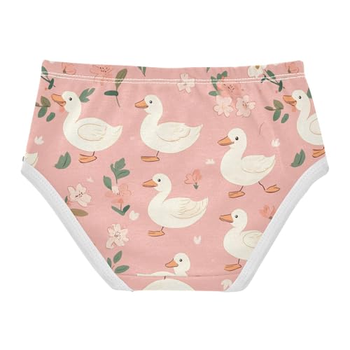 Wusikd Flowers Pink Girls' Underwear Cotton White Ducks Girls Briefs Soft Toddler Underwear 2T2