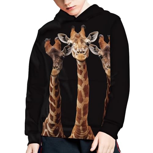 Boys Sweatshirts Cartoon Hoodie Tops Kids Hooded T-Shirts Casual Long Sleeve Hoodies for 6-16 Boys Outdoor Outfit4