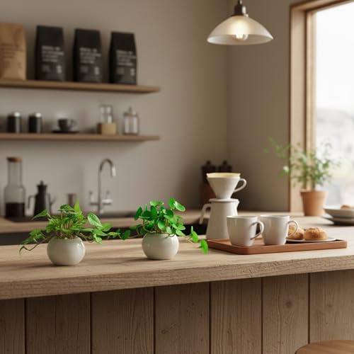 WillingYou フェイクグリーン 卓上ミニ3点セット