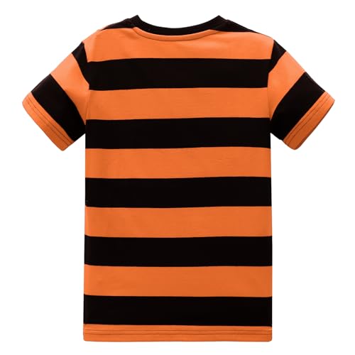 Image of Boys Rainbow Striped Shirt Cotton Long Sleeve T-Shirts