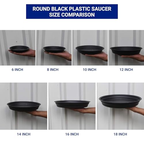 Image of SIGNY Round Bottom Tray(Plate /Saucer) Suitable for 10 Inch Round Plastic Pot - Black - Set of 6 | Heavy Duty Highly Durable Plant Saucer for Indoor Home Decor & Outdoor Balcony Garden (6, 6.4 Black)