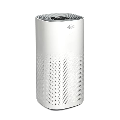 Clorox Air Purifier for Home