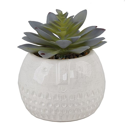 Flora Bunda Mid Century Artificial Plants Cactus Set Of 2 Artificial Succulent In Round Cool Face Ceramic Planter White Pot 4" W X 4" H Iinclude Potted Plant, For Home Office Decorations #TOP2