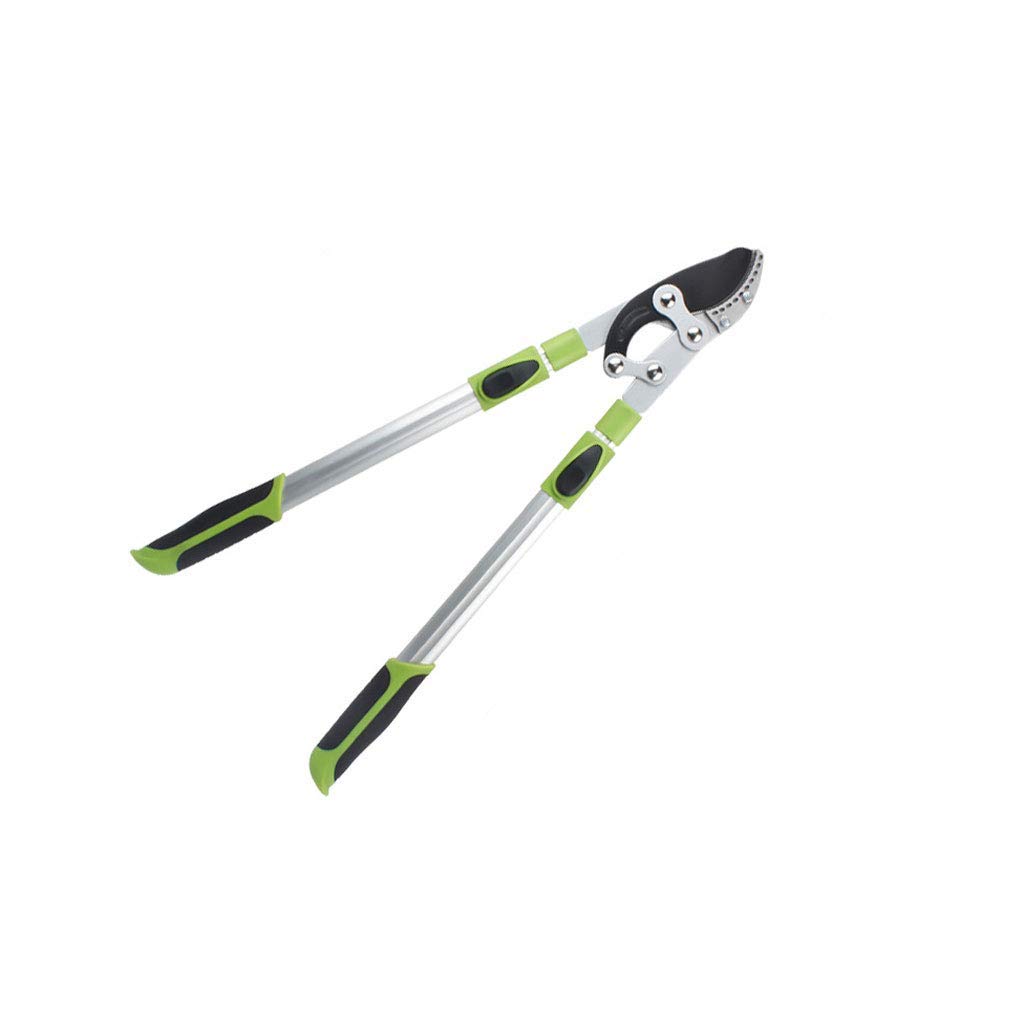 Forbici da potatura, cesoie manuali, cesoie per Rami da Giardino, cesoie Spesse retrattili, cesoie per potatura Alberi per frutticoltori (B 70)