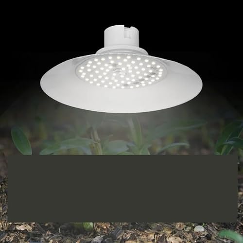 NGBFF Luces de plantas de interior Lámparas de cultivo de plantas LED for interiores, espectro completo, invernadero vegetal, suculento IP65, resistente al agua(100W)