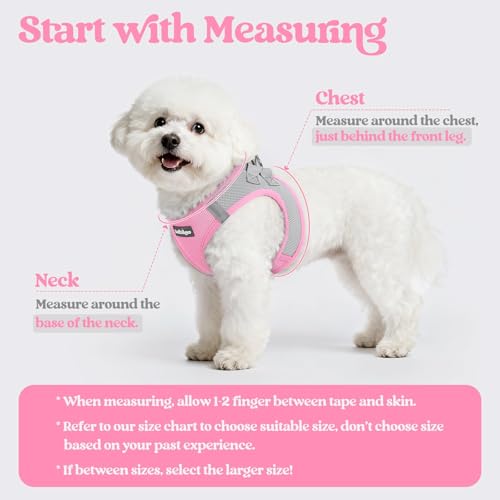 Image of rabbitgoo Dog Harness Small Sized and Leash Set, Step-in Puppy Pet Vest