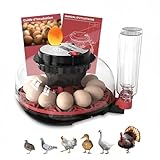 ⭐ SYSTÈME D’HUMIDIFICATION AUTOMATIQUE ET STABLE: Équipée de deux bouteilles de 300 ml, cette couveuse automatique maintient un niveau d’humidité constant sans intervention manuelle. Parfaite pour l’éclosion d’œufs de poules, œufs de caille, oiseaux ou petits reptiles, elle améliore la réussite dans toutes les couveuses pour œufs de volailles, incluant les modèles couveuse automatique 12 œufs ou couveuse œuf automatique avec humidité.