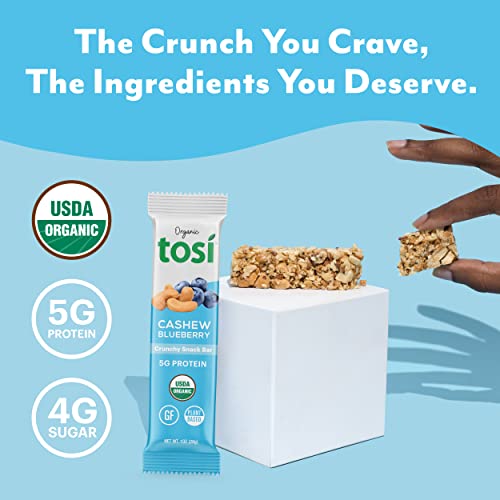 Tosi Nut Bars, 5G Protein (12 Pack, 1Oz Bars), Plant Based Protein Bars, Crunchy Vegan Snacks, Blueberry Cashew Bars, Low Sugar Healthy Snacks, Gluten Free, Soy Free, Fiber, Flax & Chia Seeds #TOP1