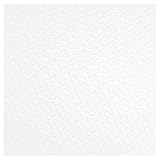 10 PVC Platten | Rasterdecke | foliert | wasserfest | Hexim | 62x62cm | YDB014